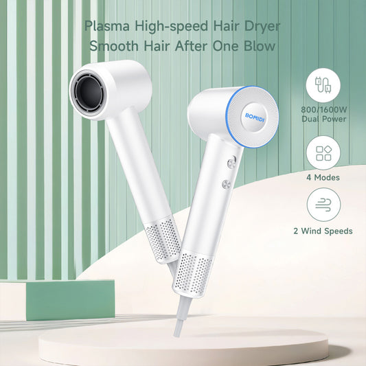 High Speed Hair Dyer HD06