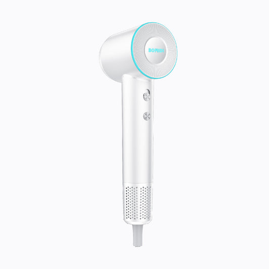 High Speed Hair Dyer HD06